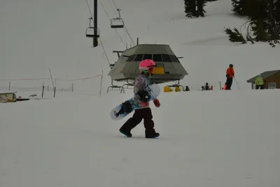 DSC_6728 (Large).JPG